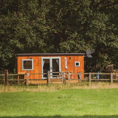 The Hideaway At Hiddenwood Glamping Hotel Corsley Exterior foto